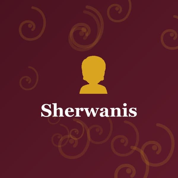 Sherwanis & Men's Ethnic category image